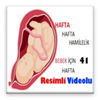 Hafta Hafta Hamilelikte Bebeğiniz icon