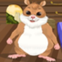 hamster caring 1.0.4