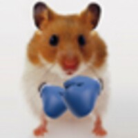 Hamster Live Wallpapper 1.1.9