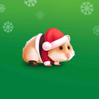 Hamster Maze icon