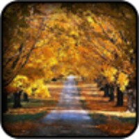 Autumn Wallpapers icon