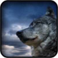 Wolf Wallpapers icon