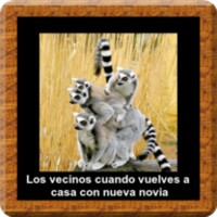 Imagenes Graciosas icon