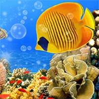 Aquarium Live Wallpaper 2.7