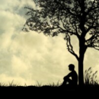 Harmony Lite Wallpaper icon