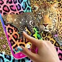 Cheetah live wallpaper icon