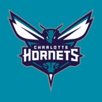 Hornets icon