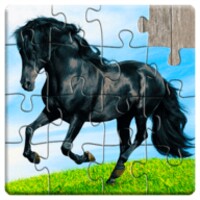 Horse Jigsaw Puzzles Game