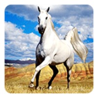 Horse Live Wallpaper icon