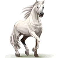 Horse Pictures Live Wallpaper 2.7