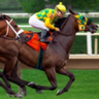 HorseRacing Jigsaw icon