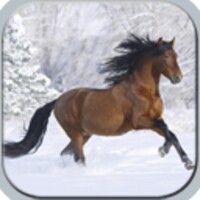 Horses in winter 3.1