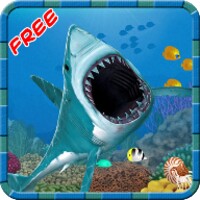Hungry Shark Game icon