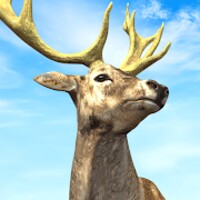 Hunting King: Wild Archery icon