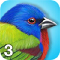 iBird Lite 3.0.8