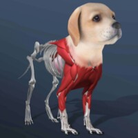 Idle Pet icon