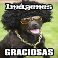 Imagenes Graciosas icon