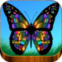 imagenes de mariposas icon