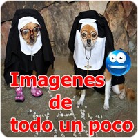 imagenes de todo 2.0