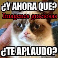 Imagenes graciosas 2 icon