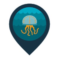 Infomedusa icon