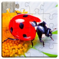 Insects Puzzle icon