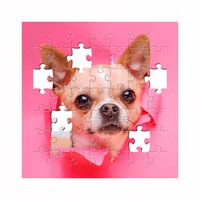 Jigsaw Puzzles for Adults HD icon