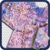 Jigsawnoi: Jigsaw puzzles redefined icon