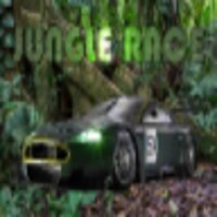 JUNGLE RACE icon