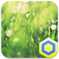 Forest icon
