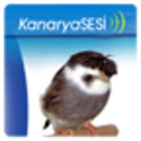 Kanaryasesi icon