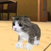 Kitten Cat Simulator 3D icon