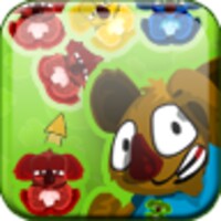 Koala Bubble Shooter icon