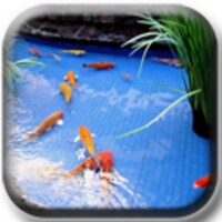 Koi fish pond II 1.7