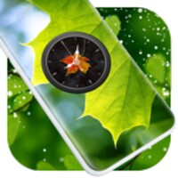 Leaf Clock Live Wallpaper icon