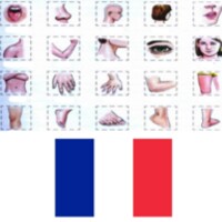 Learn Body Parts in French icon