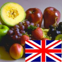 Learn Fruits in English icon