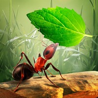 Little Ant Colony icon