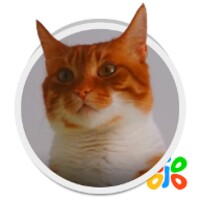 Live HD Cat Wallpaper icon