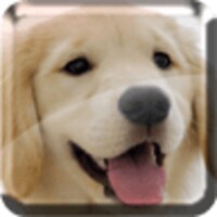 Puppies Live Wallpaper icon