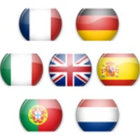 Translator icon