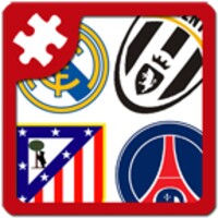 Logo Puzzle Football 4.6