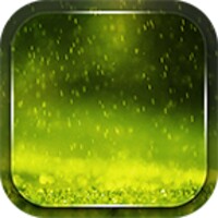 Rain Live Wallpaper 4.0