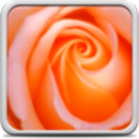 Macro Rose Live Wallpaper icon
