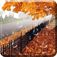 Maple Droplets Live Wallpaper icon