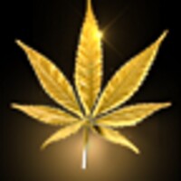 Marijuana Gold Leaf LWP 19.0