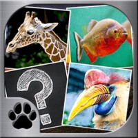 Memory Match Jungle Animals icon