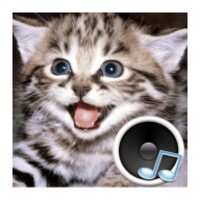 Animal Sounds icon