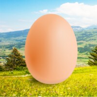 Egg icon