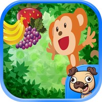 Monkey Blast Forever icon